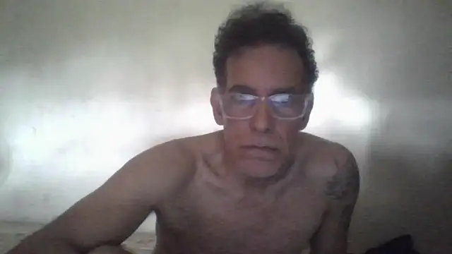CaptainFox webcam