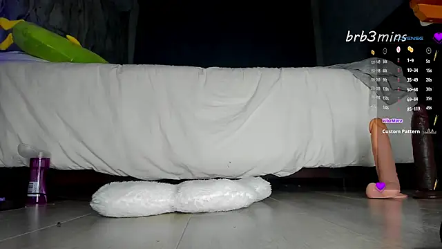 Tender__Lionet webcam