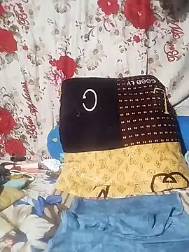 Hoalakt webcam