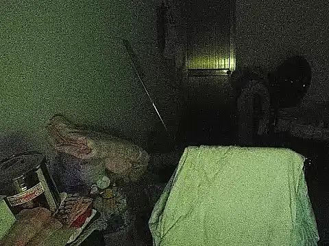 RebelAura webcam