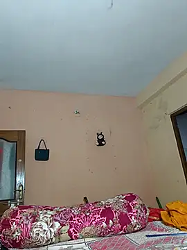 adite20 webcam