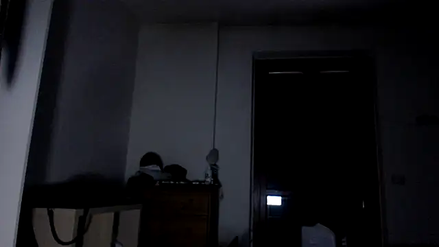 AMIRDIB2025 webcam