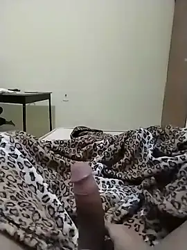 Novinhoie webcam