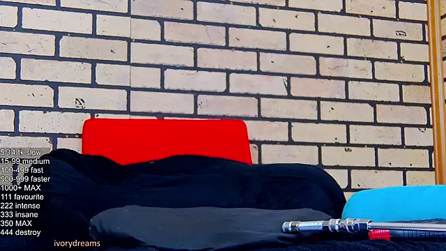 IvoryDreams webcam
