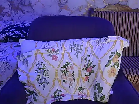 Ada-19 webcam