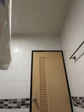 LINDA_HD webcam