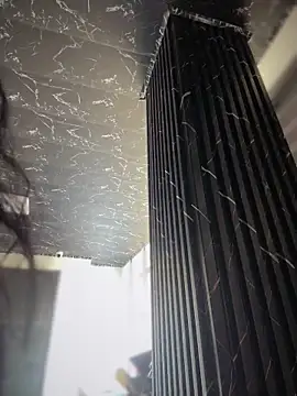 Sasha-firee webcam