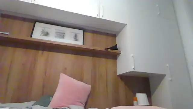 Lantti_Irres webcam