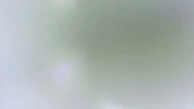 karol_stom webcam