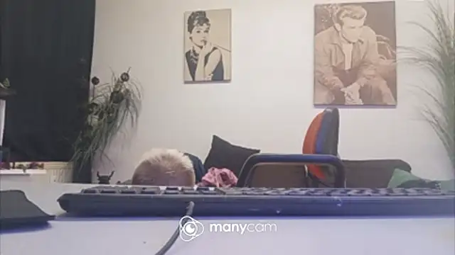 der_dino30 webcam