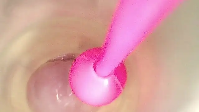 karol_stom webcam