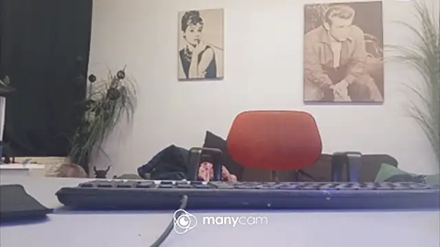 der_dino30 webcam
