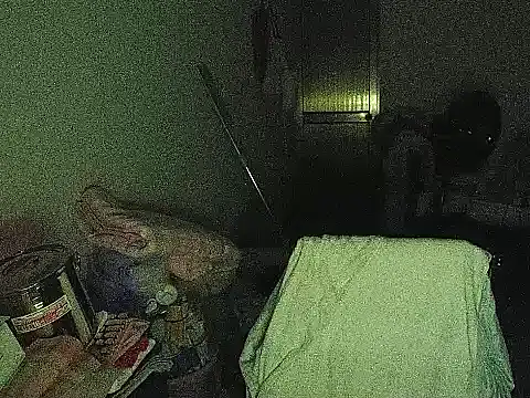 RebelAura webcam