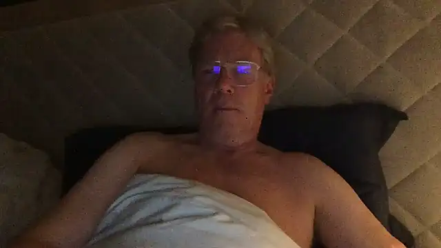 aldelafont webcam