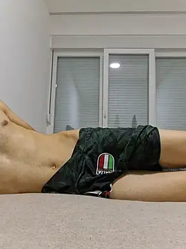 FrameBoy webcam
