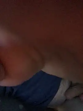 Ankadroll webcam