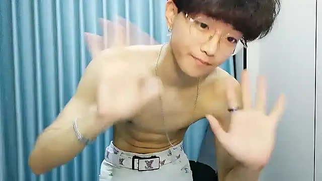 wssoo11 webcam