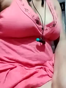 SilkScarlet webcam