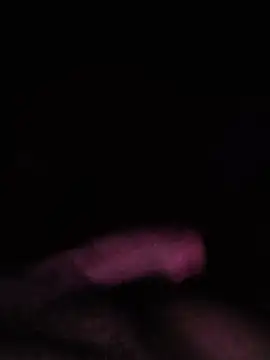 Kincsem webcam