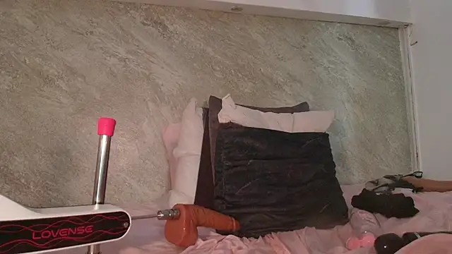 Dixie_grey1