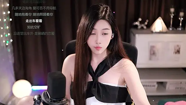 SleepArtist webcam