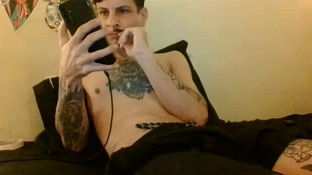 Icepappi webcam