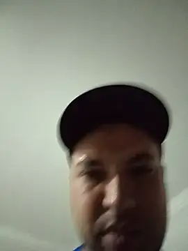 Silvakkfitk webcam