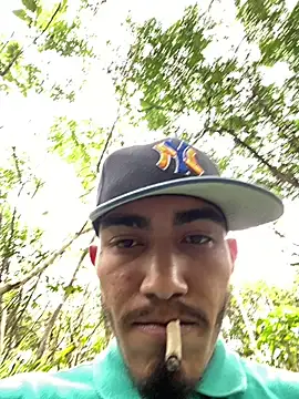 Dominant_kiing webcam