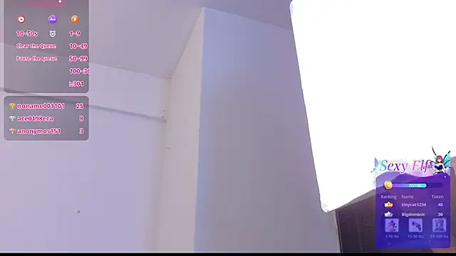 lanemugler webcam