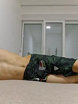 FrameBoy webcam