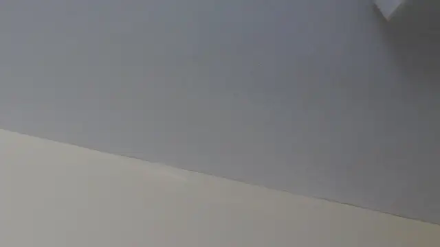 LeiaHuk webcam