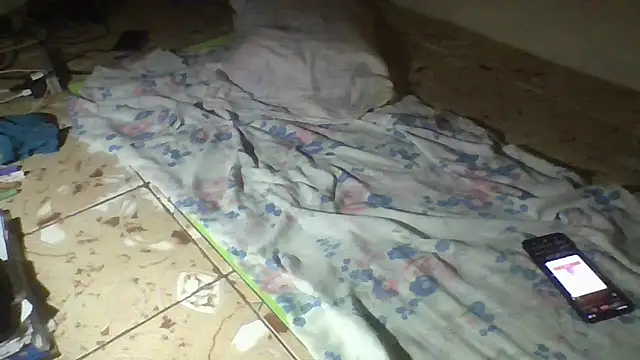 CaptainFox webcam