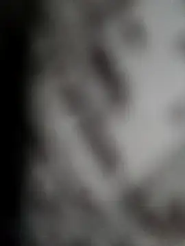 dollpum webcam