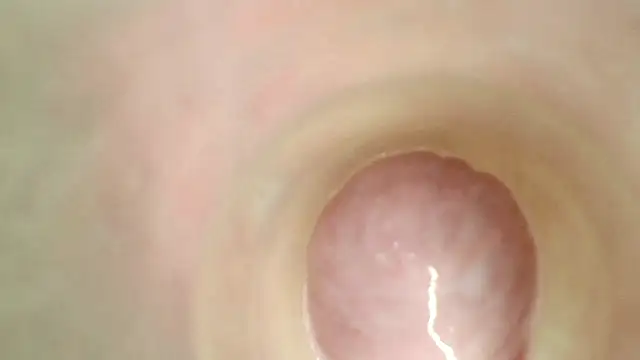karol_stom webcam