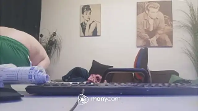 der_dino30 webcam