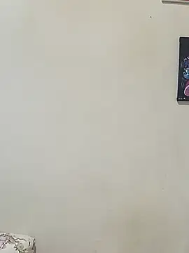 Alevsiz webcam