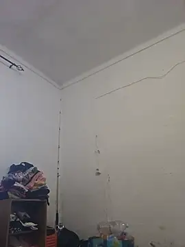 Costymanea webcam