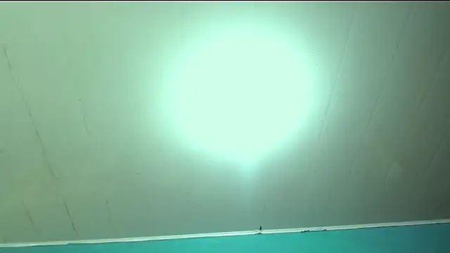 KaliAndLeon webcam