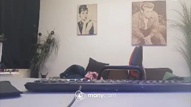 der_dino30 webcam