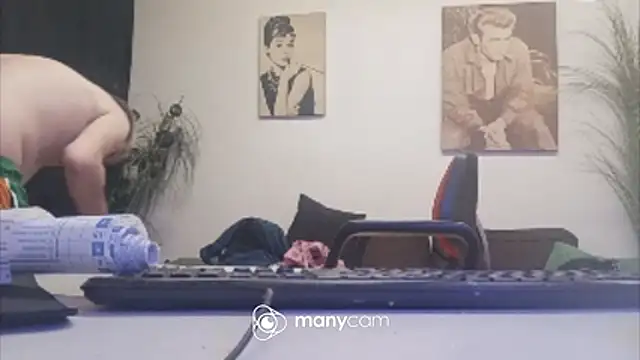 der_dino30 webcam