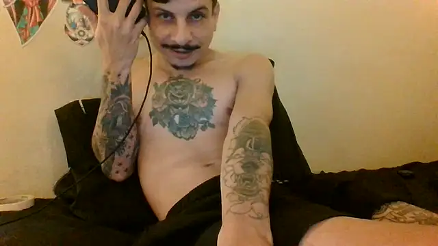 Icepappi webcam