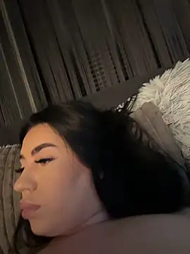 Andrestarr webcam