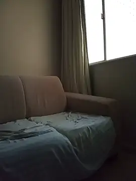 Silvakkfitk webcam