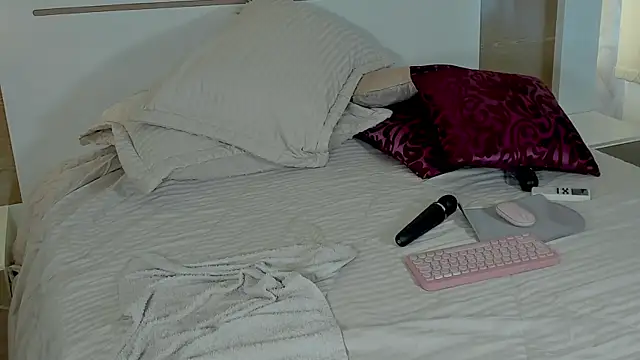 NOVACY-SANTOS webcam