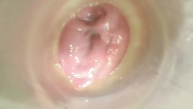 karol_stom webcam
