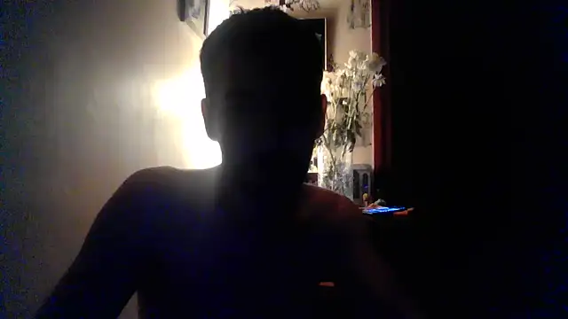 Hgay6935 webcam