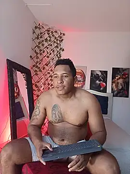 ARTHUR_MINI webcam