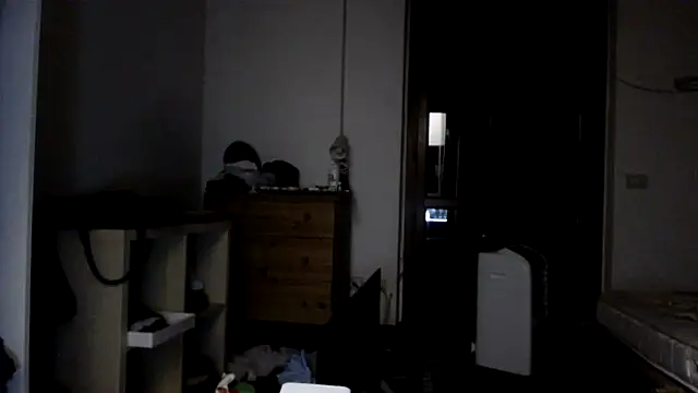 AMIRDIB2025 webcam