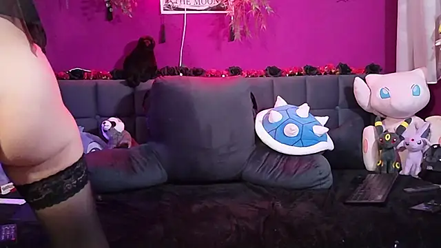 ViGothFox webcam