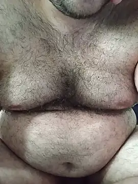 big__bearrr webcam